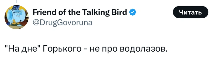 Источник: X (Twitter)