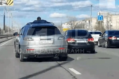 Водитель свадебного кортежа извинился в Волгограде