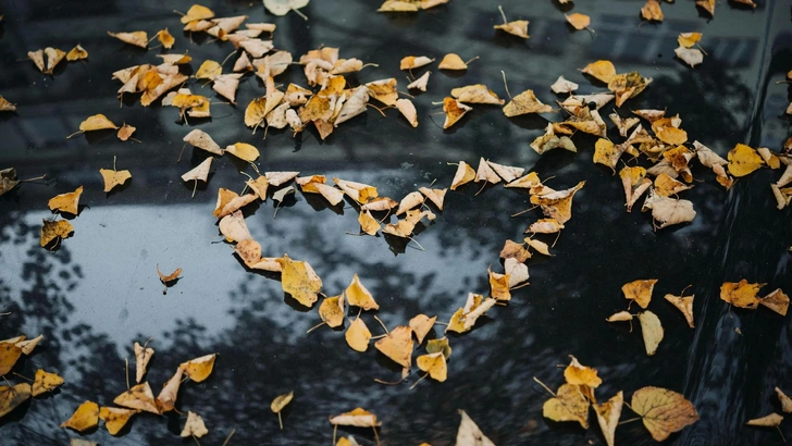 Чек-лист для сомневающихся в своих чувствах: 5 признаков того, что вы по-настоящему влюбились | Источник: Unsplash