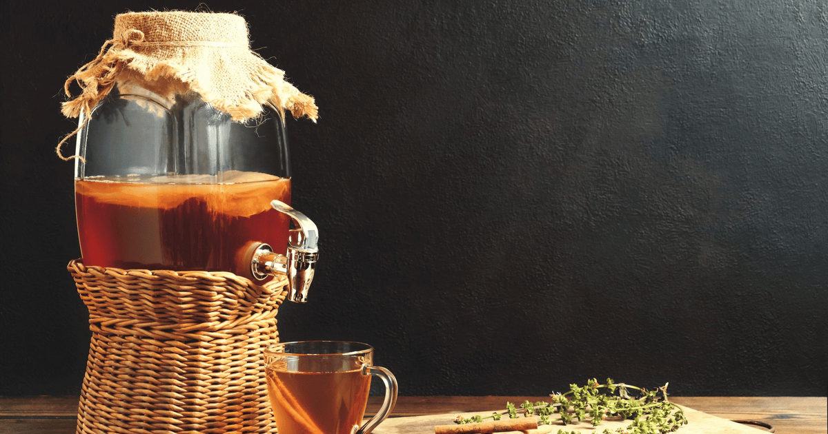 Что такое комбуча: свойства, польза и вред чайного гриба для человека ...