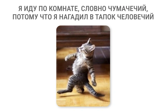 Иногда питомцы оставляют «сюрпризы» в обуви хозяев | Источник: Мария Романова / Городские медиа