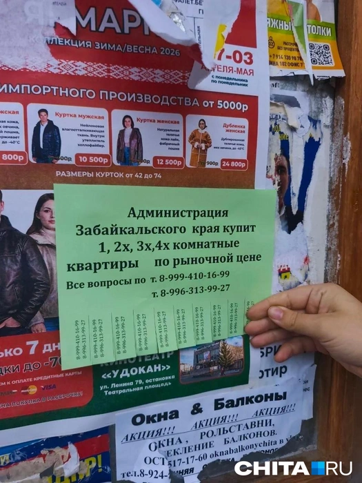 Одно из объявлений в Сосновом Бору | Источник: очевидец