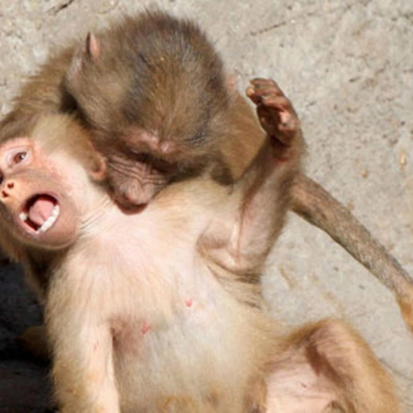 Источник: Соцсети