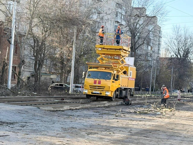 Источник: Светлана Камбулова / Telegram.org