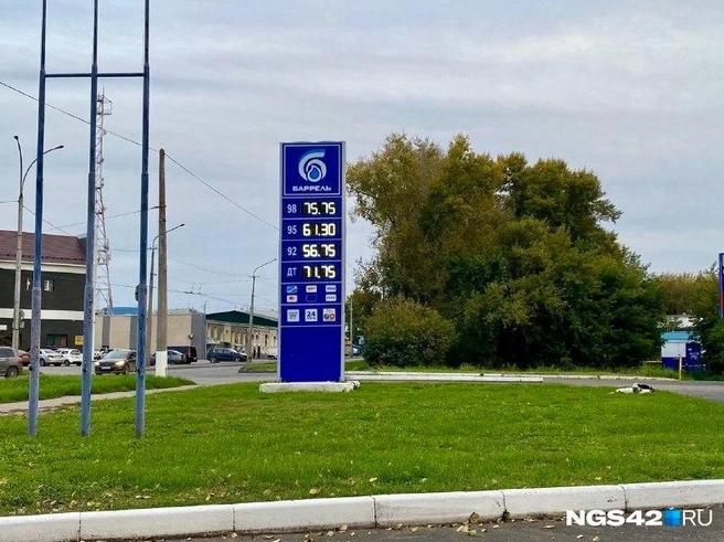 Источник: Елизавета Богатырева / NGS42.RU