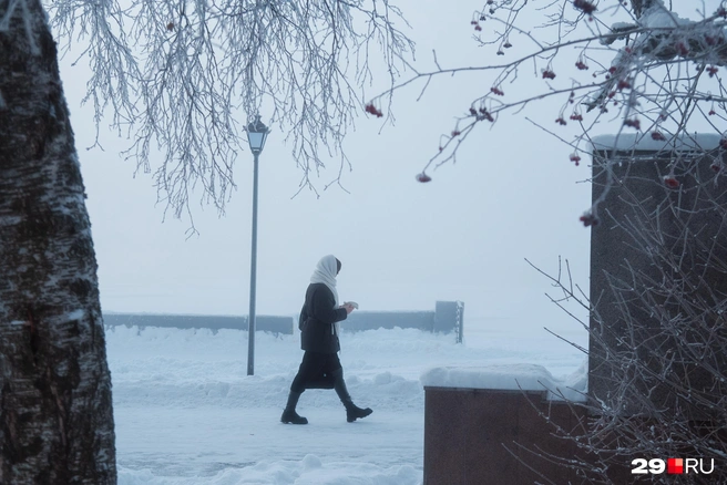 Источник: Иван Митюшёв / 29.RU