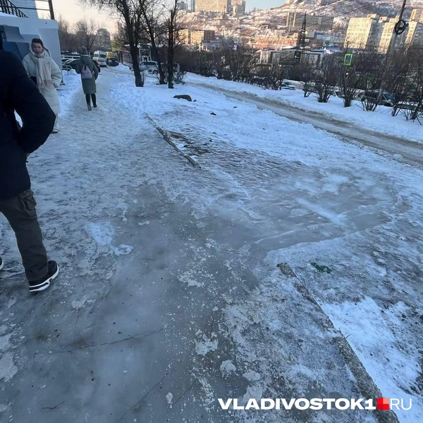 Источник: Елена Буйвол / VLADIVOSTOK1.RU