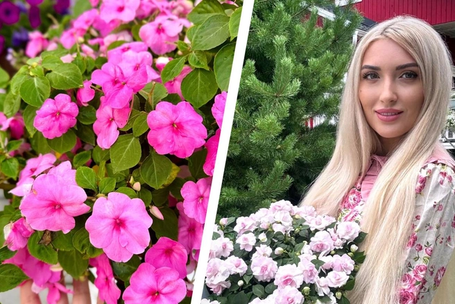 Мария и сама выращивает их на своем участке | Источник: Мария Приймак