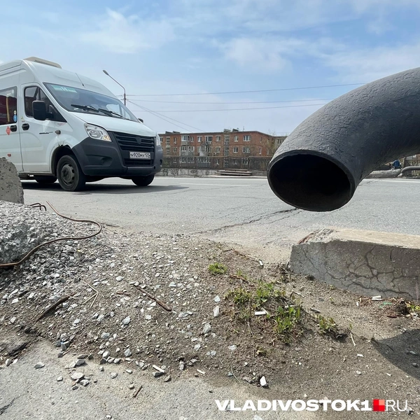Источник: Елена Буйвол / VLADIVOSTOK1.RU