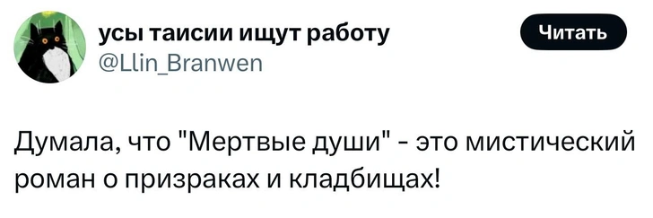 Источник: X (Twitter)