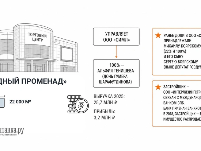 Источник: Инфографика «Фонтанка.ру»