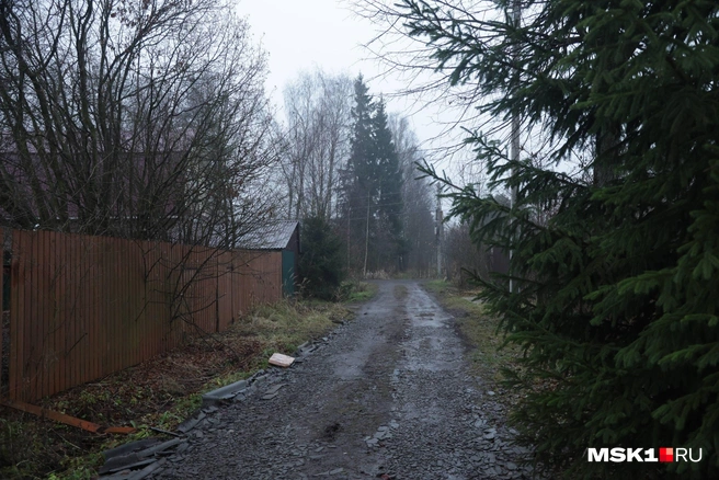 Источник: Дмитрий Толстошеев / MSK1.RU