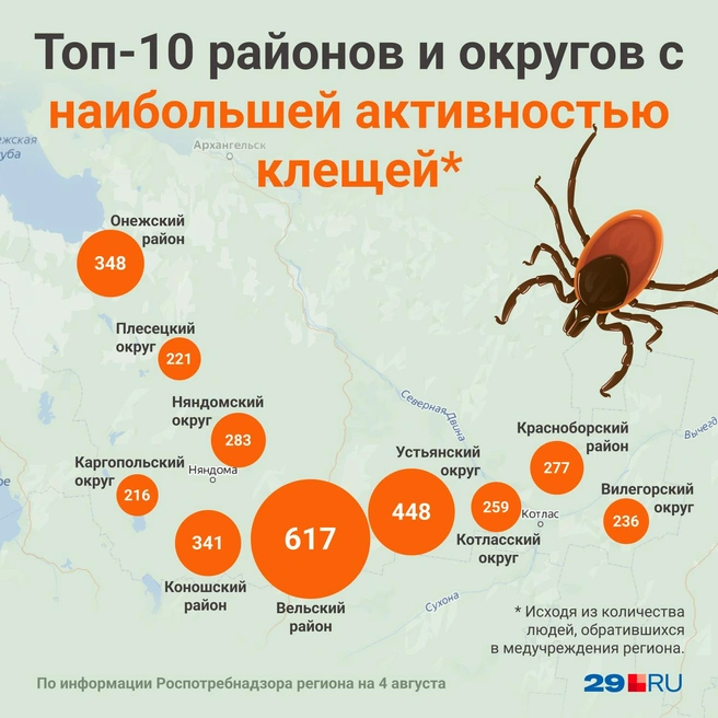 В августе клещи активны