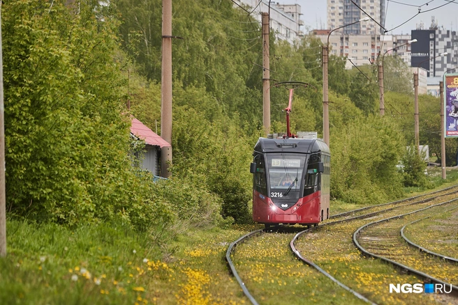 Город постепенно обновляет подвижной состав рельсового транспорта, но самих маршрутов пока недостаточно | Источник: Александр Ощепков / NGS.RU