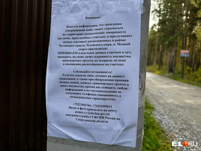 Садоводов просят проверить, не вскрыты ли их дома  | Источник: Дарья Костомина / E1.RU 