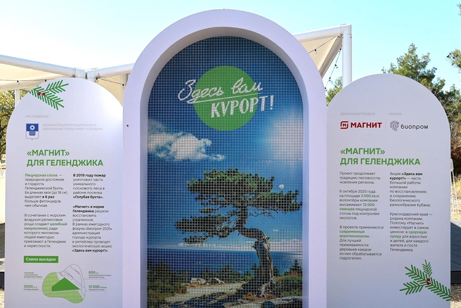 Территорию оформили в курортном стиле | Источник: пресс-служба компании «Магнит»