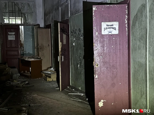 Источник: Алина Мельникова / MSK1.RU