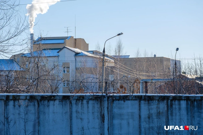 Сбежать не получится | Источник: Булат Салихов / UFA1.RU