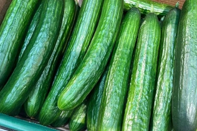 FAS Probes Cucumber Price Hike of 21.3% in Murmansk