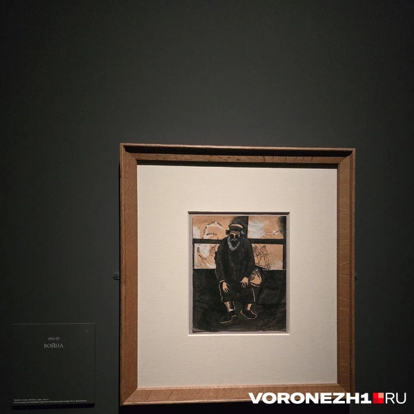 Источник: Ирина Булгакова/ Voronezh1.ru