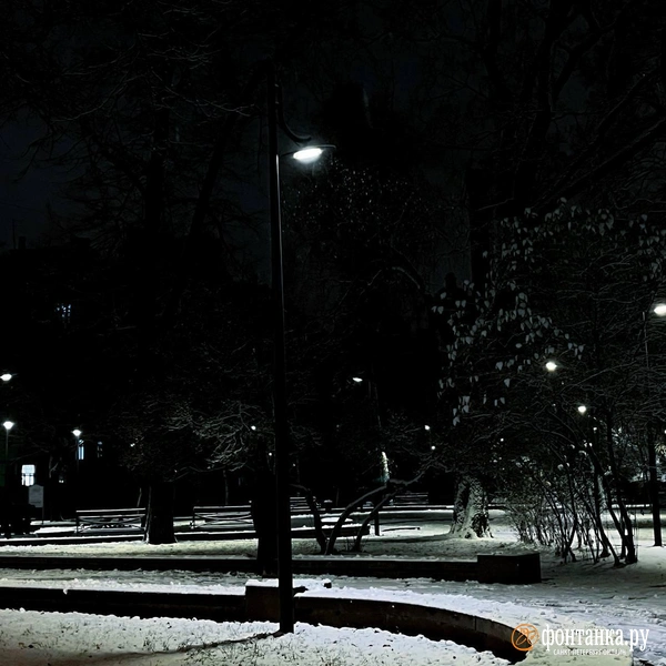 Источник: читатель «Фонтанки»