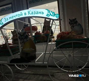 Такую красоту можно найти на Баумана | Источник: Виктория Улитова / YA62.RU