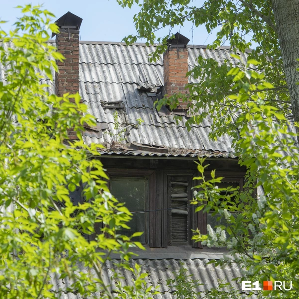 Источник: Кирилл Кушнов / E1.RU
