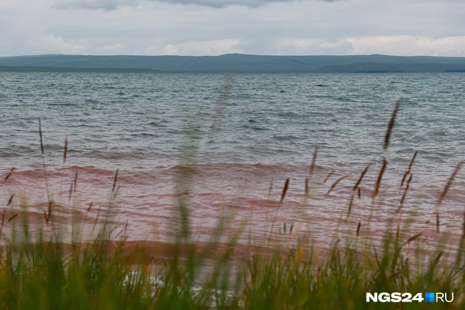 Летом многим хочется поближе к воде | Источник: Мария Ленц / NGS24.RU