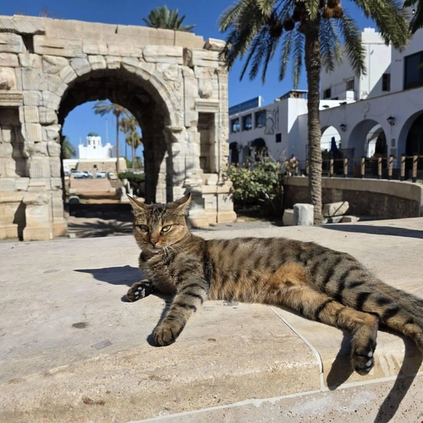 Источник: Алексей Котельников