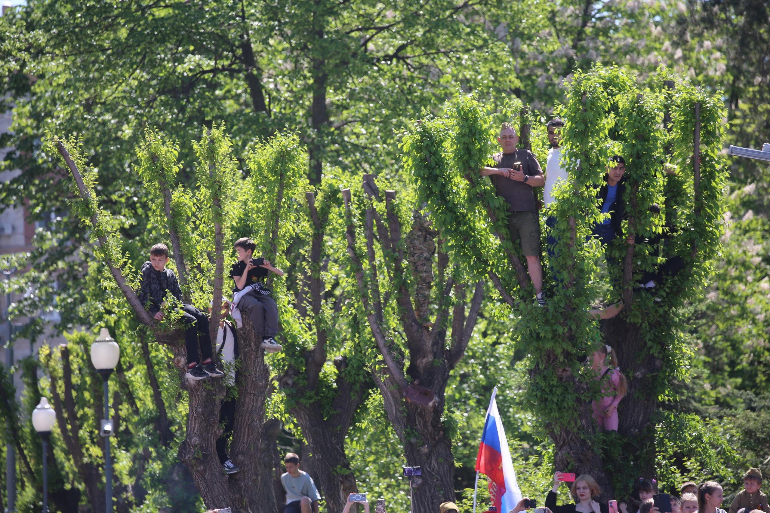 Мне сверху видно всё, ты так и знай: в центре Волгограда нашли несколько идеальных способов посмотреть свысока на парад Победы
