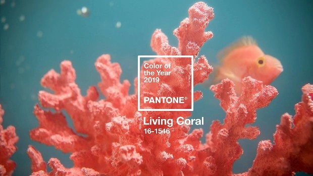 Живой коралл: цвет 2019 года по Pantone