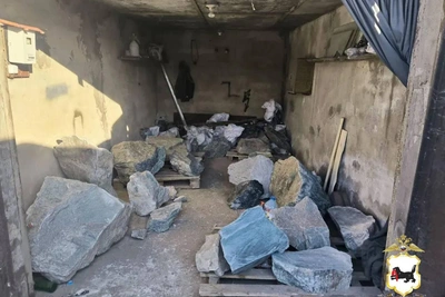 Полиция изъяла 6.5 тонн нефрита у нелегального мигранта