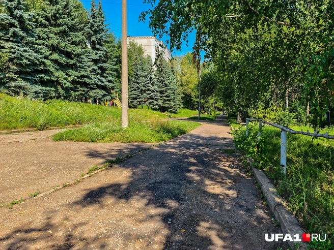 Аллею собрались облагородить | Источник: Булат Салихов / UFA1.RU