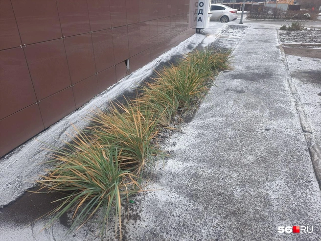 Источник: Анастасия Баринова / 56.RU