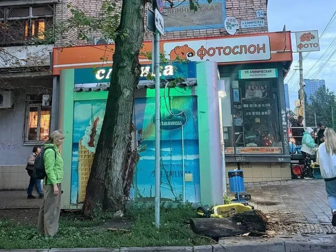 ЧП произошло около пешеходного перехода | Источник: прокуратура Самарской области