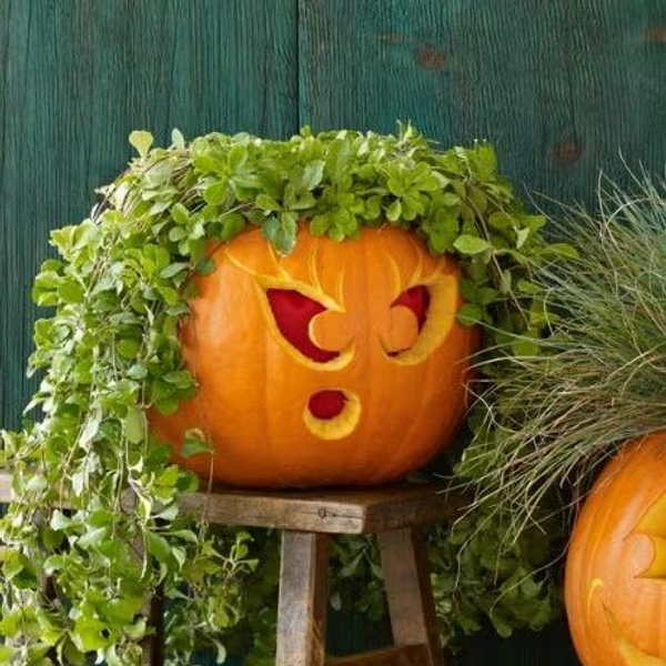 Источник: Антонис Ахиллеос