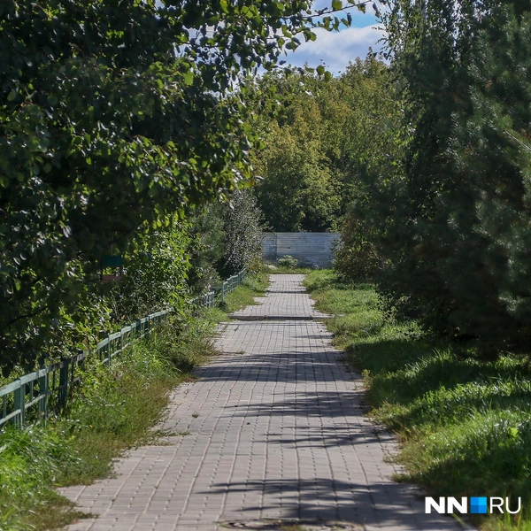 Источник: Наталья Бурухина / NN.RU