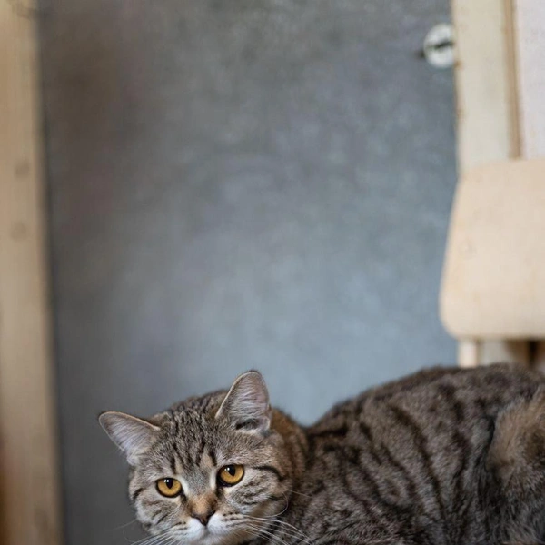 Источник: Елена Гасанова