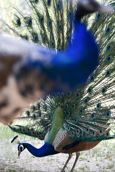 Источник: Архив пресс-служб