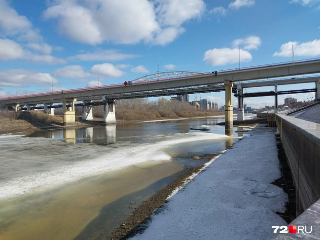 Ровный островок, на него еще даже не пришла вода | Источник: Анастасия Давыдова / 72.RU