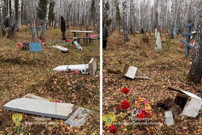 Силовики начали проверку  | Источник: прокуратура Новосибирской области