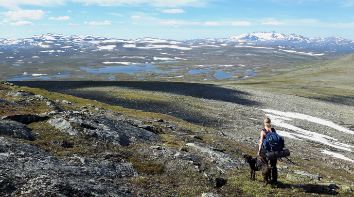Привет от норвежской Золушки: археологи нашли пролежавший 3100 лет в леднике женский ботинок