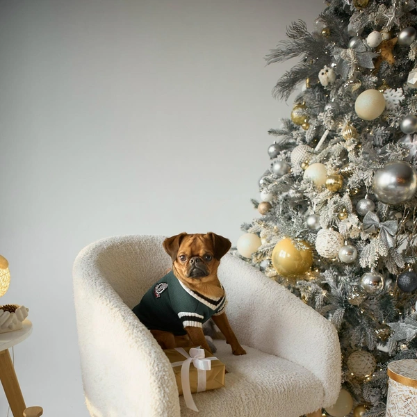 Источник: Антон Колташов Семейные съёмки Выпускные альбомы, vk.com