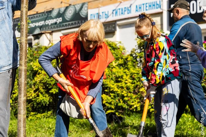 Источник: st.cherinfo.ru