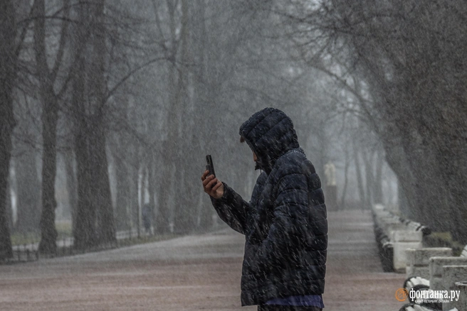 Правительство обновило постановление о контроле РКН за интернетом | Источник: Михаил Огнев / FONTANKA.RU