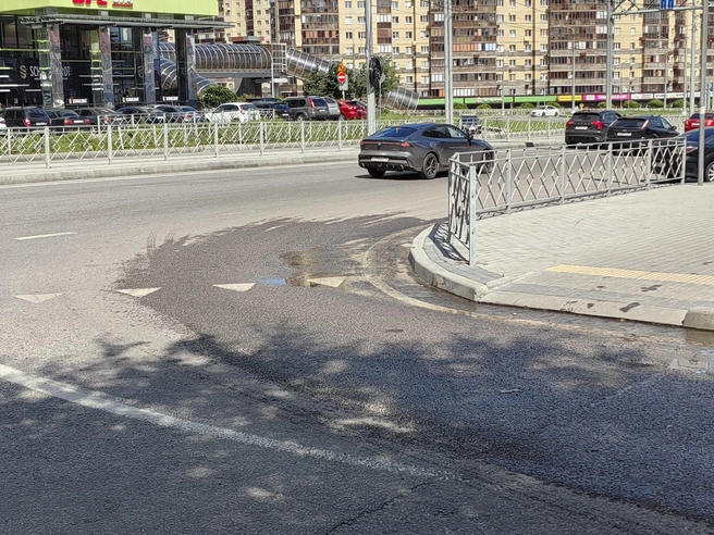 Вода из разлива стекает на проезжую часть улицы Шишкова | Источник: Андрей Пашинский / Voronezh1.ru