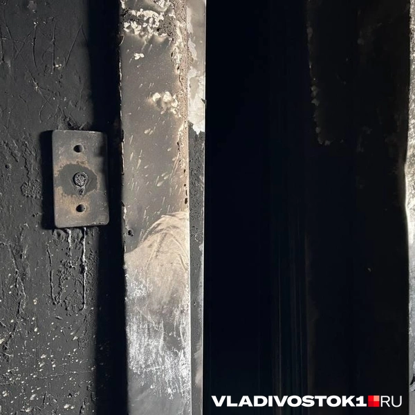 Источник: Елена Буйвол / VLADIVOSTOK1RU