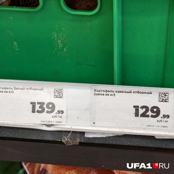 Источник: Булат Салихов / UFA1.RU