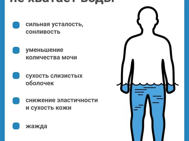 В сезон ОРВИ необходимо пить 35–45 миллилитров воды на килограмм веса. | Источник: Юрий Орлов / Городские медиа