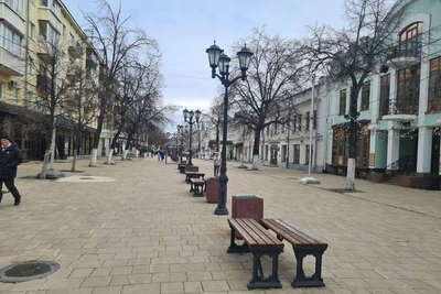 Нарколог раскритиковал снос скамеек на Почтовой